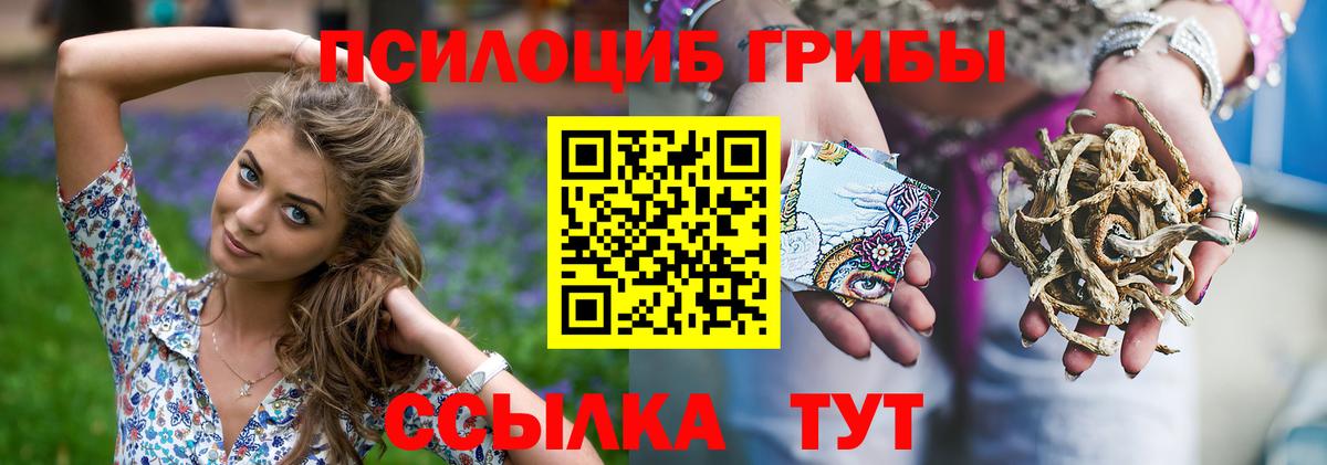 Псилоцибиновые грибы Psilocybe  Галлюциногенные грибы мухоморы  Вход с VPN  Гурьевск 